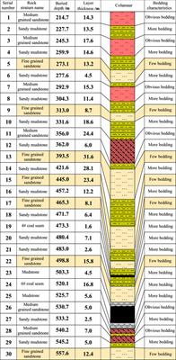 Analysis of Energy Accumulation and Dispersion Evolution of a Thick Hard Roof and Dynamic Load Response of the Hydraulic Support in a Large Space Stope